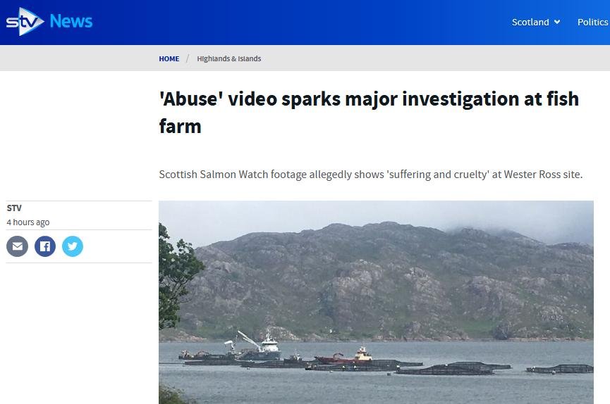 STV News 19 June 2019 #1