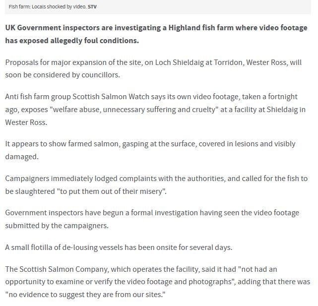 STV News 19 June 2019 #2