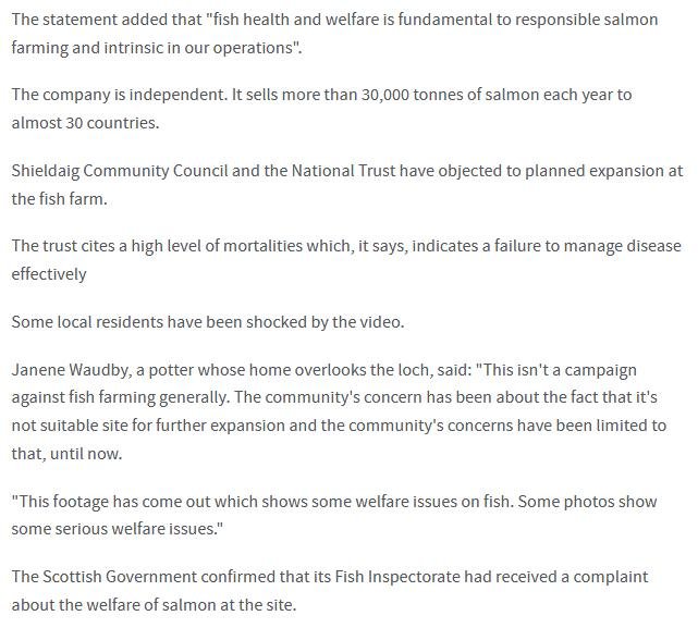 STV News 19 June 2019 #3