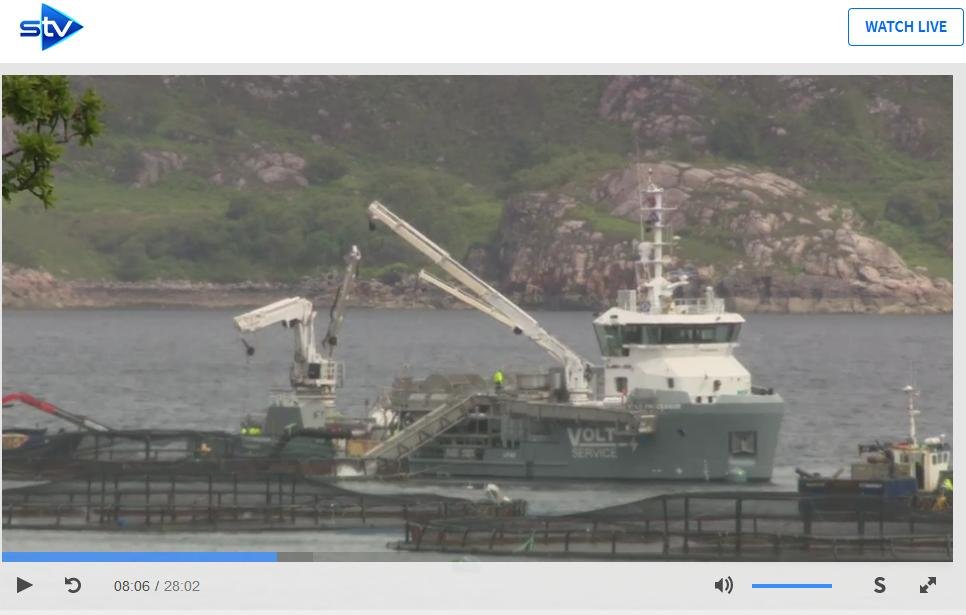 STV News 19 June 2019 TV version #9 Volt STV News 19 June 2019 TV version #9 Volt