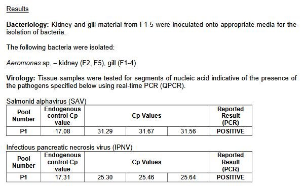 FHI Maragay Mor June 2019 #7