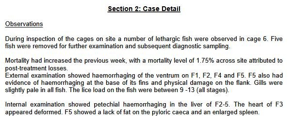 FHI Maragay Mor June 2019 #8