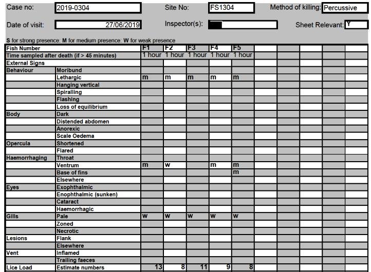 FHI Maragay Mor June 2019 #12