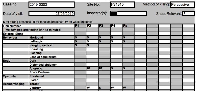 FHI Maaey June 2019  #10
