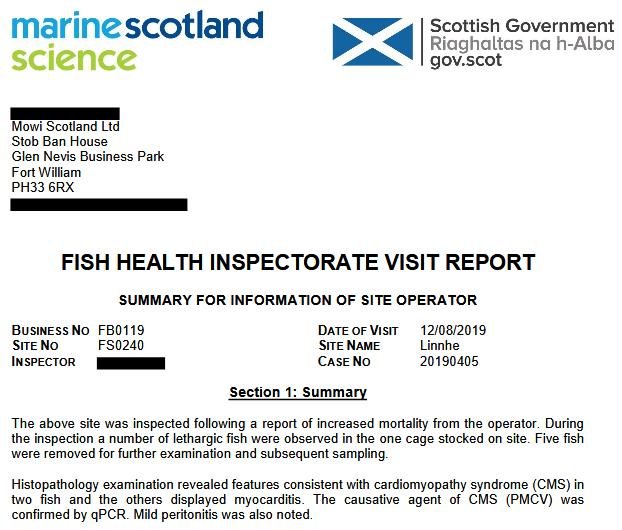 FHI Linnhe Ardgour Aug 2019 #7