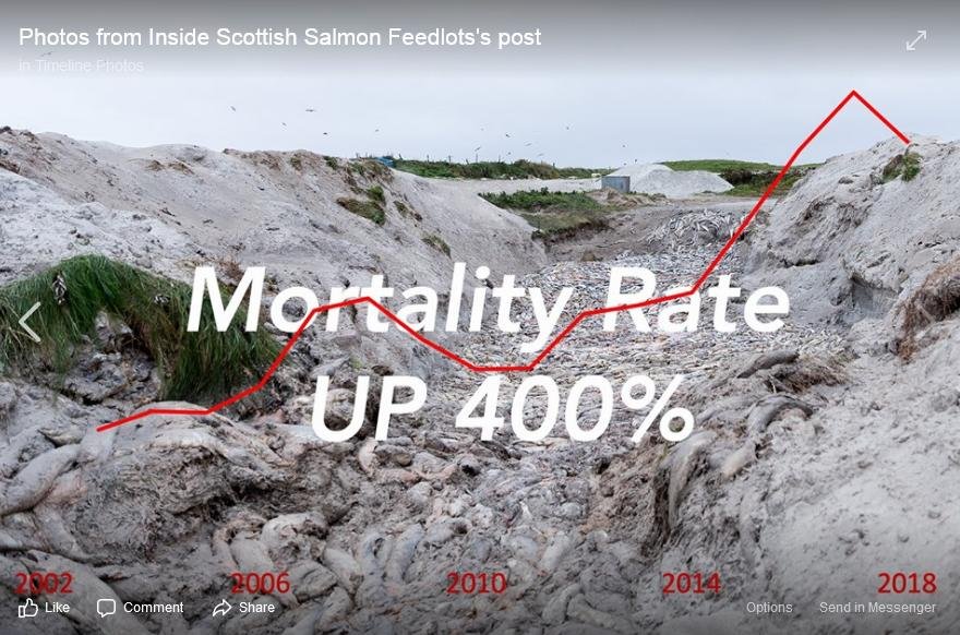 Mort post by Corin 17 Oct 2019 #4