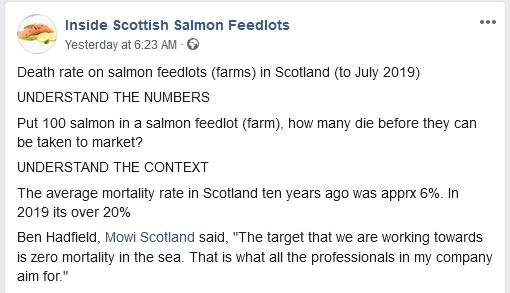 Corin blog Oct 2019 Corin blog Oct 2019