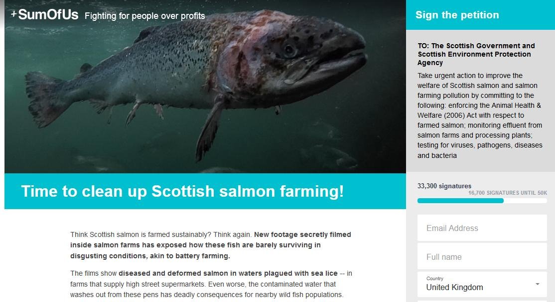 SumOfUs Petition October 2018