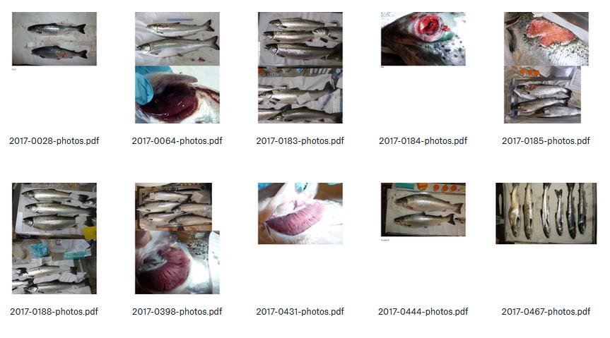 Dropbox #2 Dropbox #2