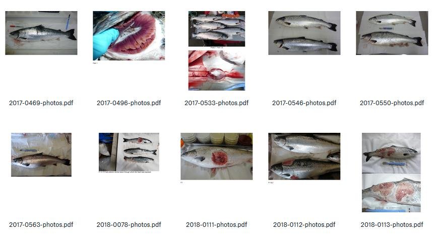 Dropbox #3 Dropbox #3