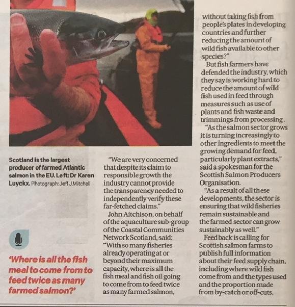 SoS 30 June 2019 #2 on Feedback report