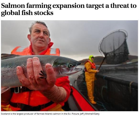 SoS 30 June 2019 online photo