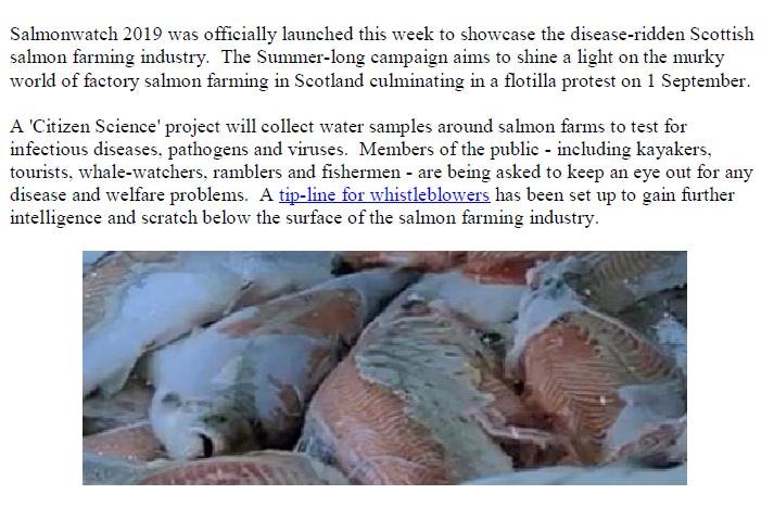 PR Salmonwatch Launched in Scotland 1 July 2019 #2