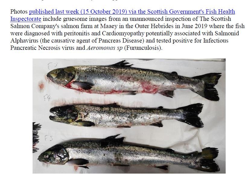 PR Exposed Photos 24 October 2019 # Maaey re-do PR Exposed Photos 24 October 2019 # Maaey re-do