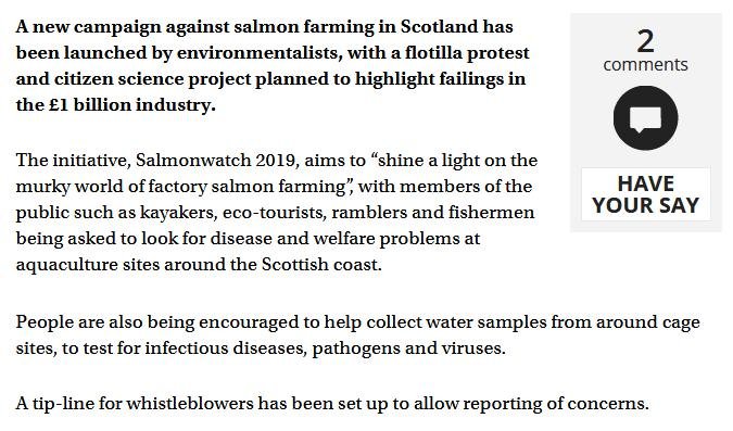 Scotsman 1 July 2019 #2