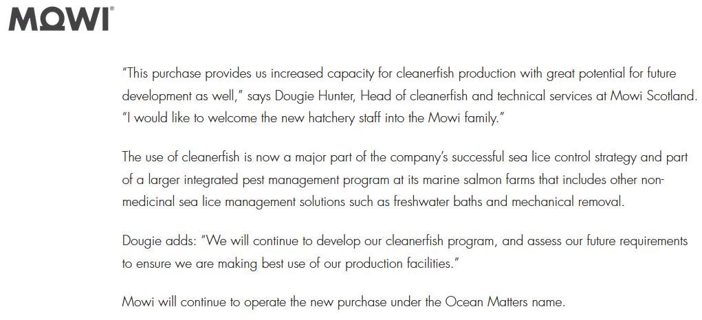 Mowi Welsh lumpfish #2 Mowi Welsh lumpfish #2