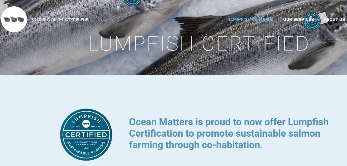 Ocean Matter lumpfish certified Ocean Matter lumpfish certified