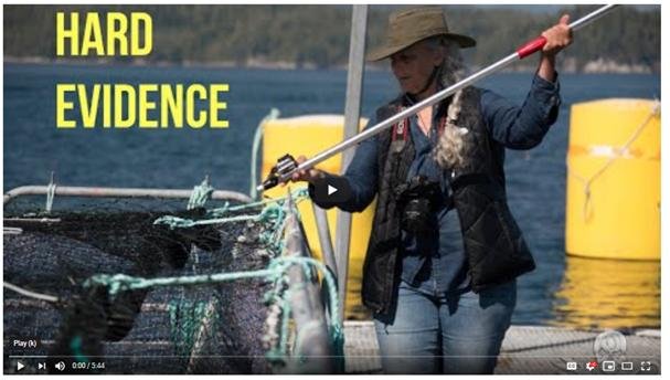 Alex Hard Evidence Alex Hard Evidence