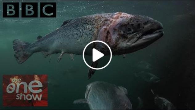 Corin photo One Show iPlayer bigger Corin photo One Show iPlayer bigger