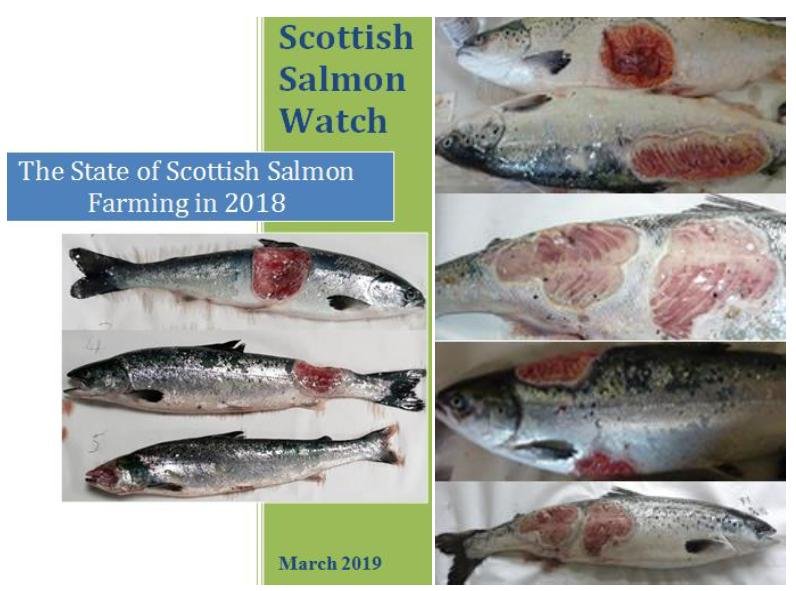 PR Sorry State #2 PR Sorry State #2