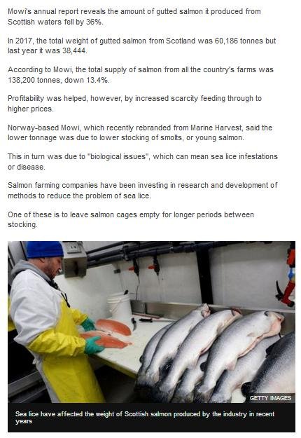 BBC Sea Lice Blamed for Major Fall in Tonnage 28 March 2019 #2