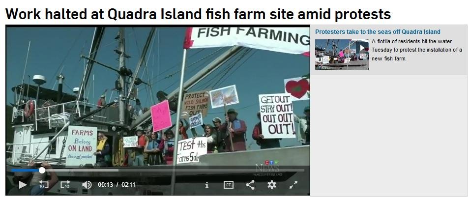 Swim against fish farm #10 Swim against fish farm #10