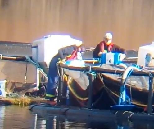 Kames video gas mask Nov 2019 #4