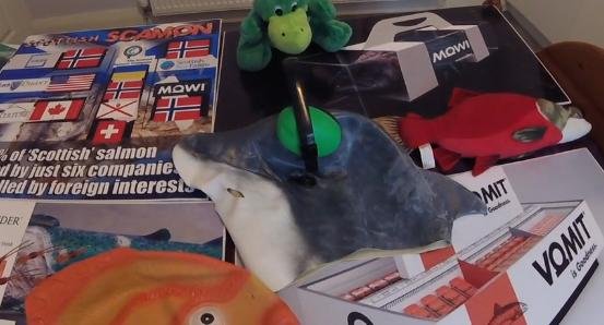 Video promo photo #3 dolphin Video promo photo #3 dolphin