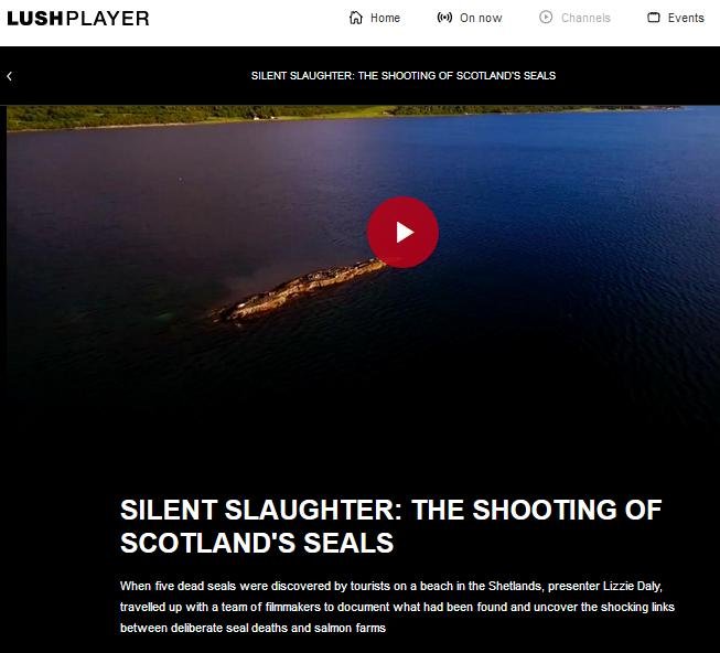 Lush seal video Lush seal video