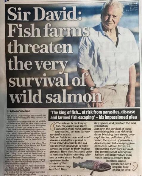 Mail On Sunday 31 March 2019 #Newspaper version Scottish longer maybe #1 Mail On Sunday 31 March 2019 #Newspaper version Scottish longer maybe #1