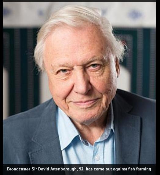 Mail On Sunday 31 March 2019 #Photo Sir David Mail On Sunday 31 March 2019 #Photo Sir David