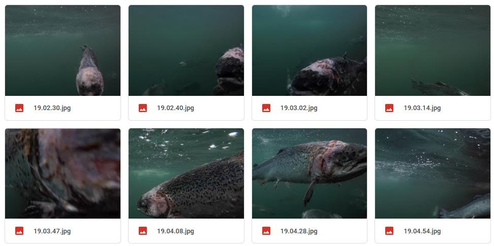 Vacasay photos Corin