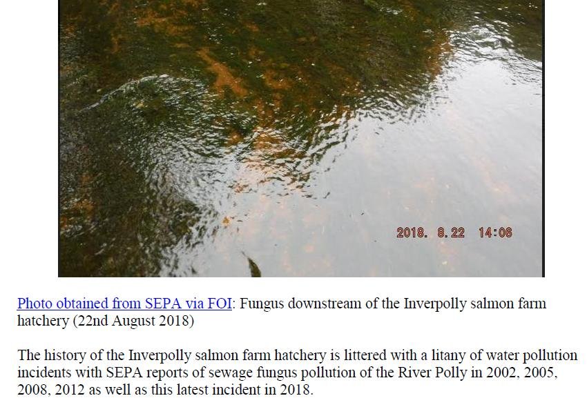 PR Fungus at Mowi Fish Farm in River Polly 9 August 2019 #2