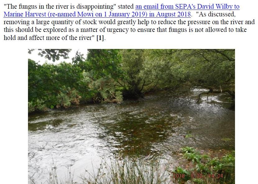 PR Fungus at Mowi Fish Farm in River Polly 9 August 2019 #3