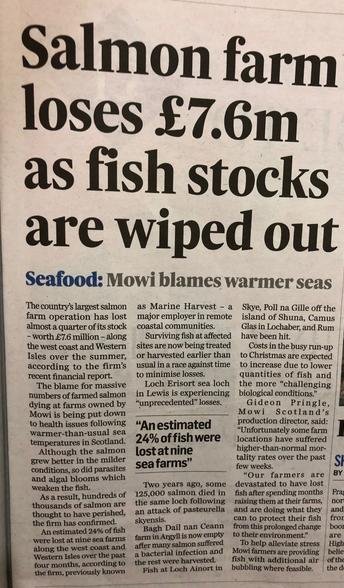 P&J on 24% mortality Nov 2019 #1 P&J on 24% mortality Nov 2019 #1