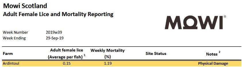 Ardintoul lice & morts 29 Sept 2019