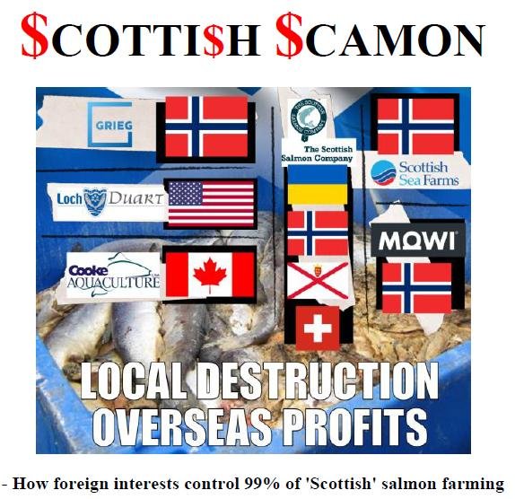 Scottish Scamon report LD #1