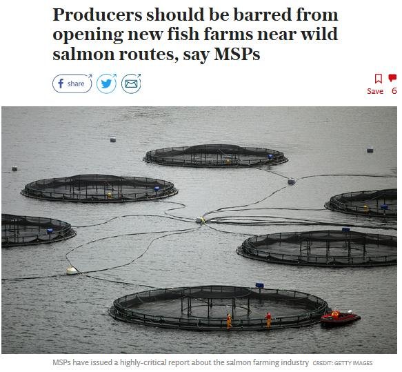 Blog Move it Mowi #14 Blog Move it Mowi #14