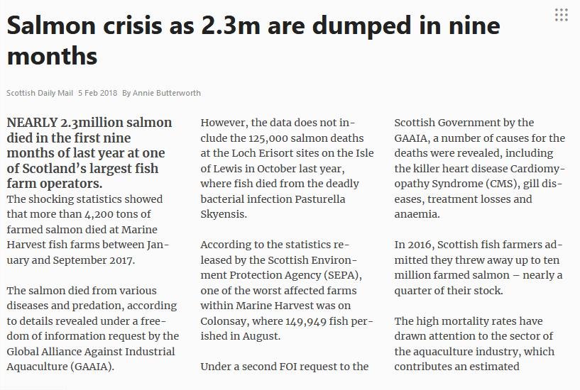 Blog Move it Mowi #24 Blog Move it Mowi #24