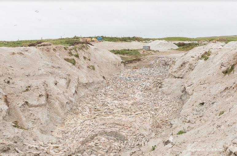 FHI data Aug 2019 #31 FHI data Aug 2019 #31