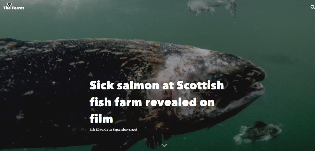 FHI data Aug 2019 #32 FHI data Aug 2019 #32