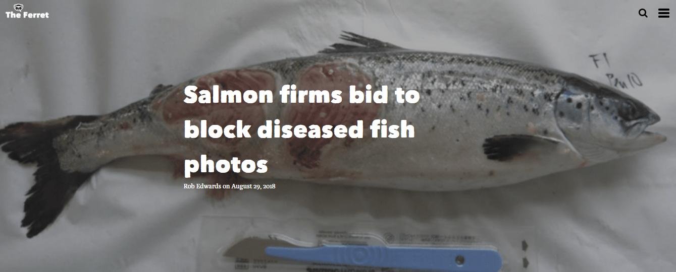 FHI data Aug 2019 #33 FHI data Aug 2019 #33