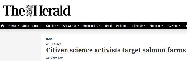 Herald 28 Aug 2019 #1