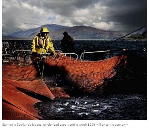 Herald 28 Aug 2019 #2