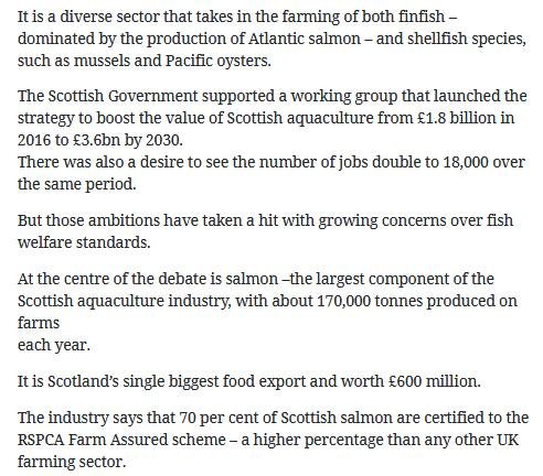 Herald 28 Aug 2019 #6