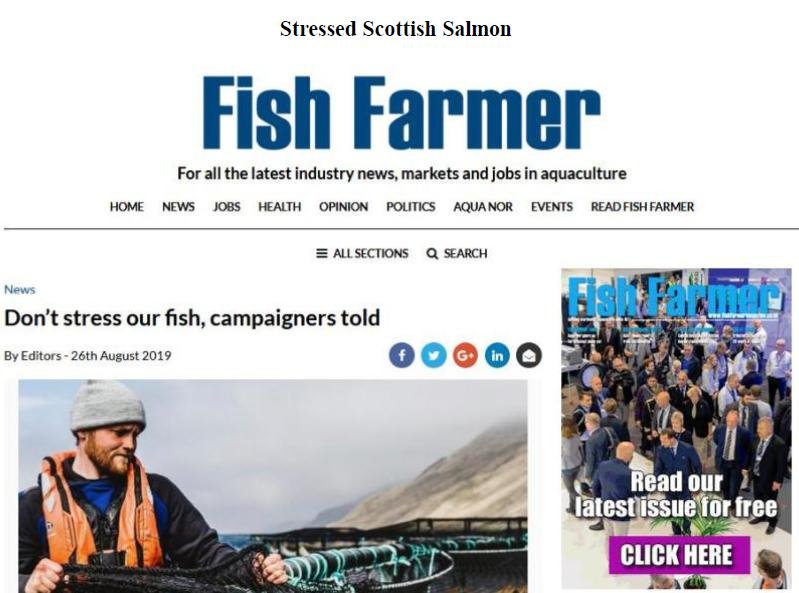 Media Backgrounder & Schedule for Swim for Salmon 31 Aug & 1 Sept 2019 #12