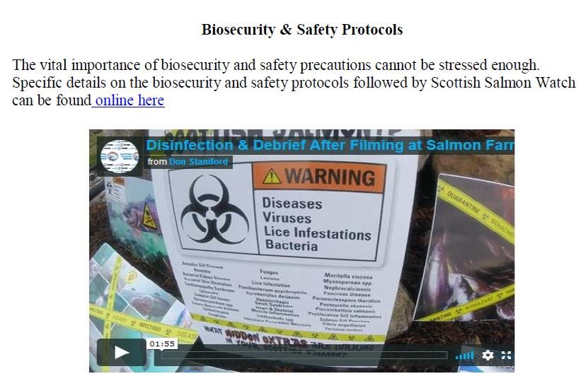 Media Backgrounder & Schedule for Swim for Salmon 31 Aug & 1 Sept 2019 #13