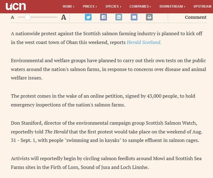 Undercurrent News 29 Aug 2019 #2