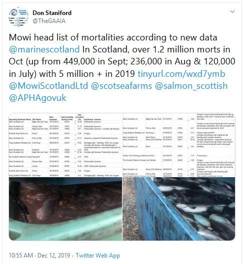 July to Oct 2019 mort data FHI as of 4 Dec 2019 # Tweet July to Oct 2019 mort data FHI as of 4 Dec 2019 # Tweet