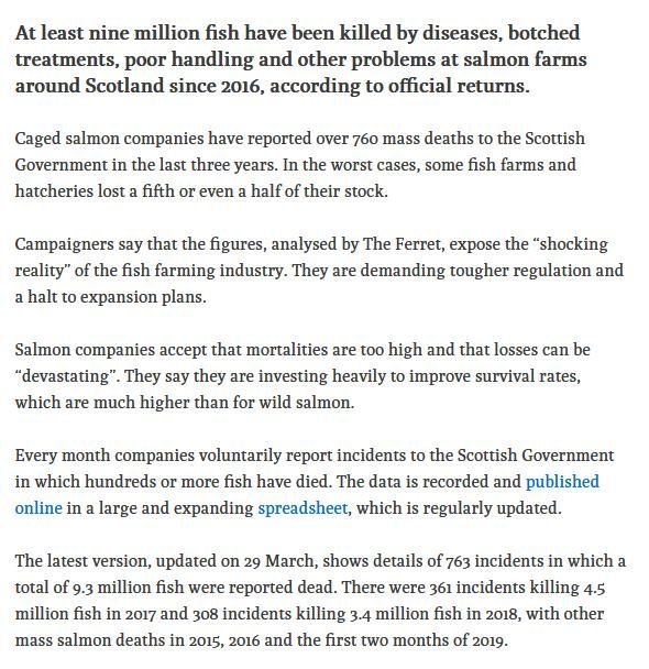 Ferret 14 April 2019 #2